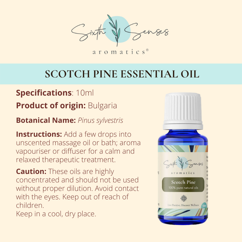 Scotch Pine essential oil