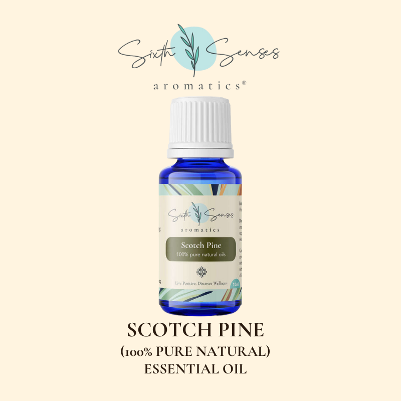 Scotch Pine essential oil